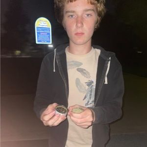 Meet your Posher, Joe